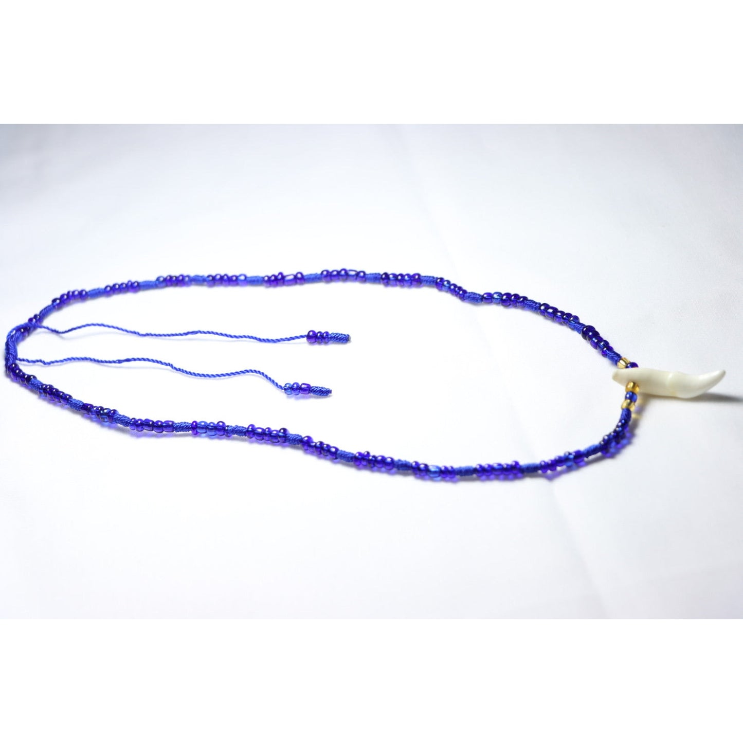 Royal Blue Coyote Tooth