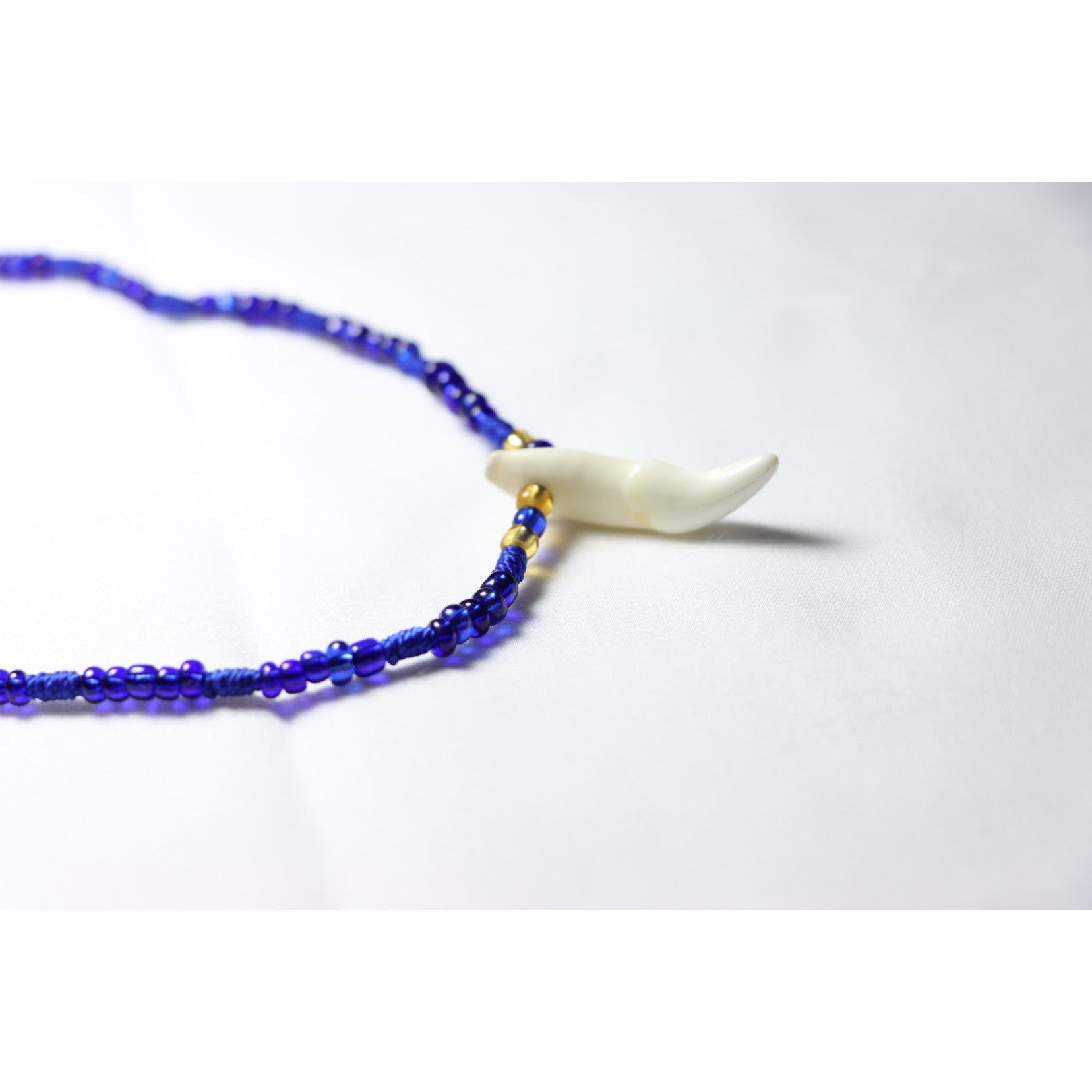 Royal Blue Coyote Tooth